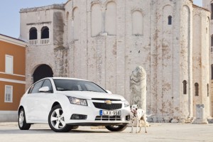 Cruze HB5-1