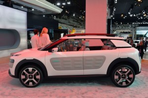 Cactus-Concept-2