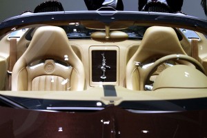 Bugatti-Rembrandt-Veyron-Grand-Sport-3