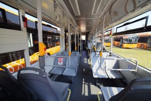 Bus-2