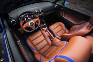 Audi-TT-byVilner-2