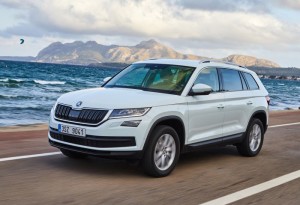 Skoda-2